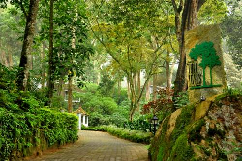 Munnar India Trek código de promoción booking.com